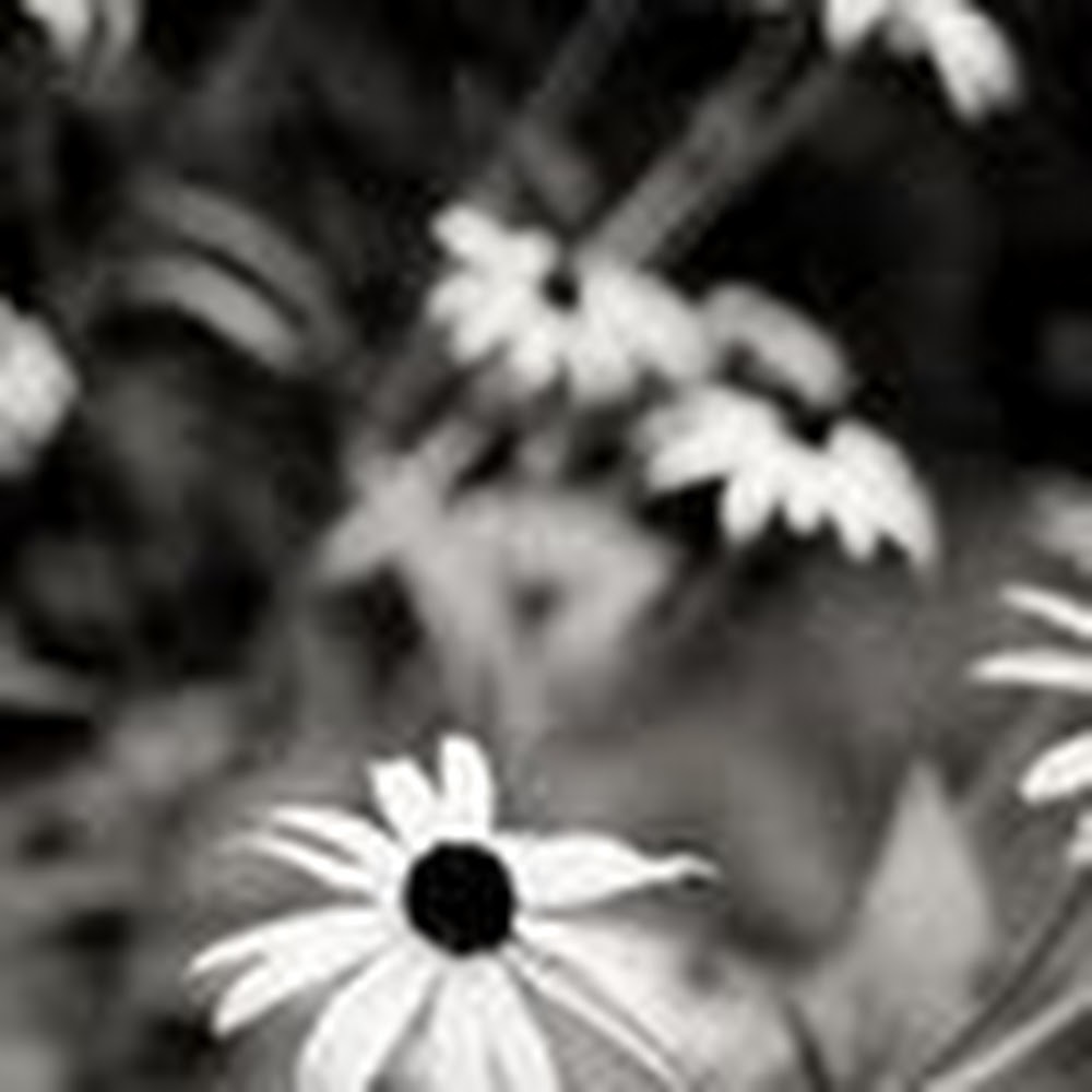 Meet your Posher, Emma margaret